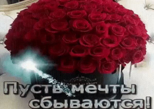 IMG 20191020 115355