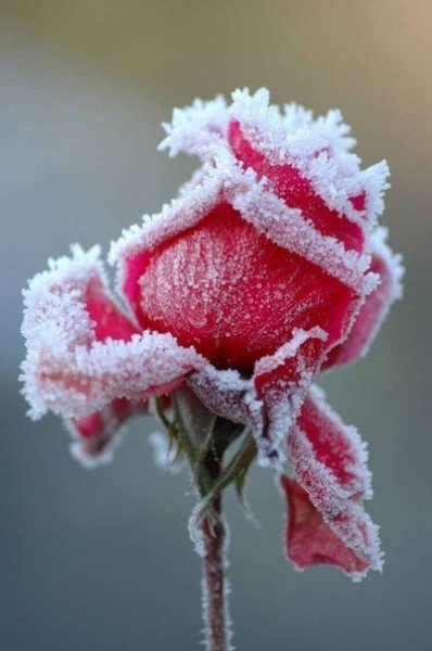 file_94874977