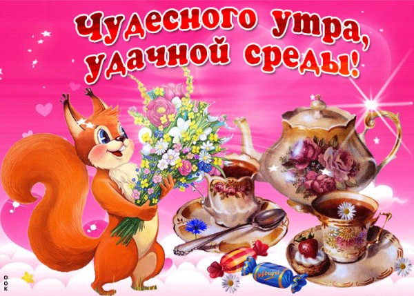 среда 041011