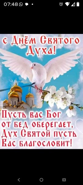 IMG-20260601-WA0001
