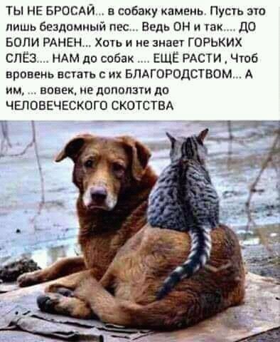 FB IMG 16207642938654677