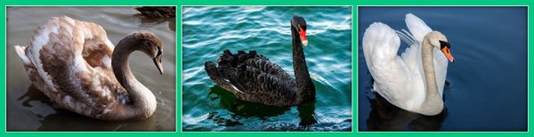 file_89186118