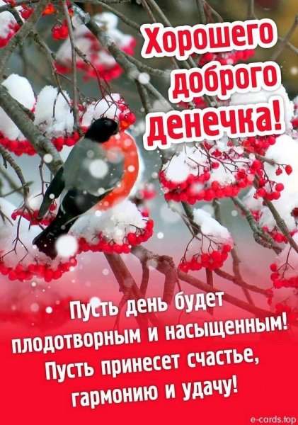 file_92139480