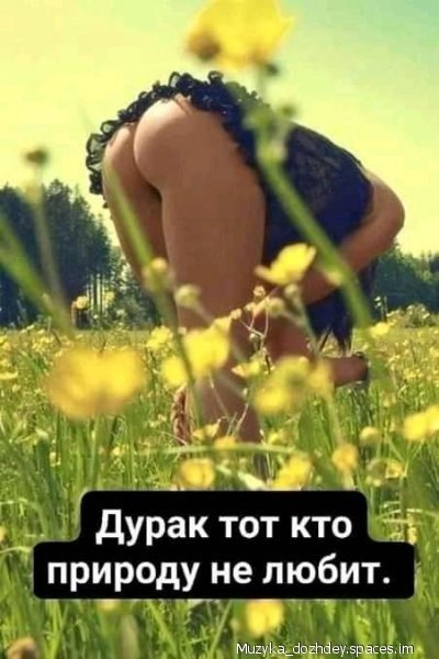 file_83792201