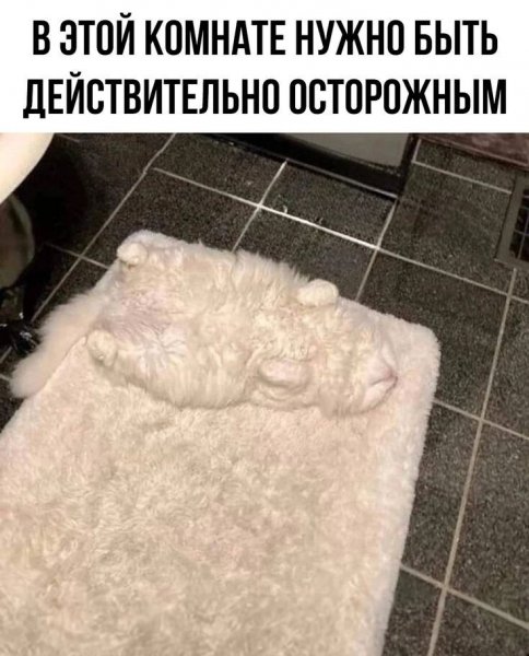 IMG 20260902 085955