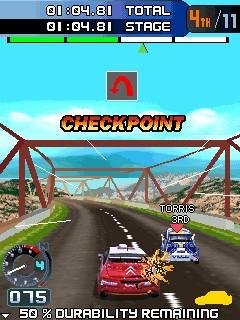 pro rally racing