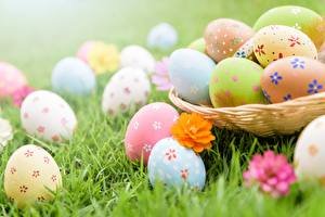 Easter Closeup Eggs Grass 564296 300x200