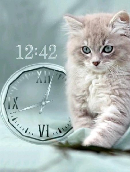 Котенок