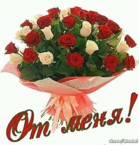 FB IMG 16125185825537518