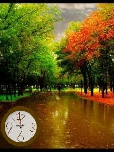 Autumn water