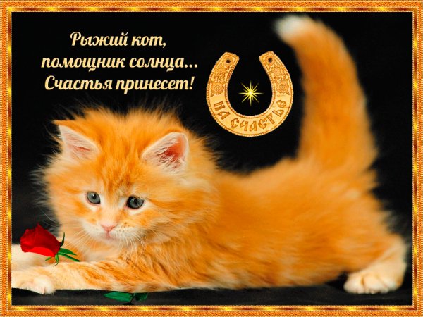 Счастье принесёт!
