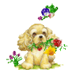 file_46174749