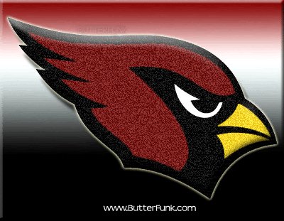 0 nfl football arizona cardinals