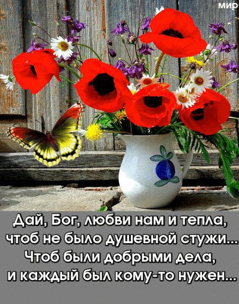 IMG 20210504 074955