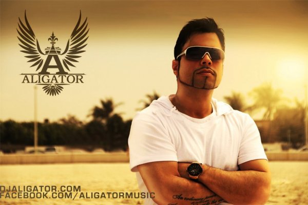 DJ Aligator - Im coming home (English only mix)