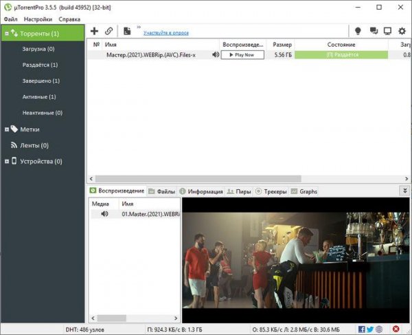 TorrentPro 3.5.5 Build 45952 Stable (2021)