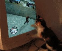 cute cat gta