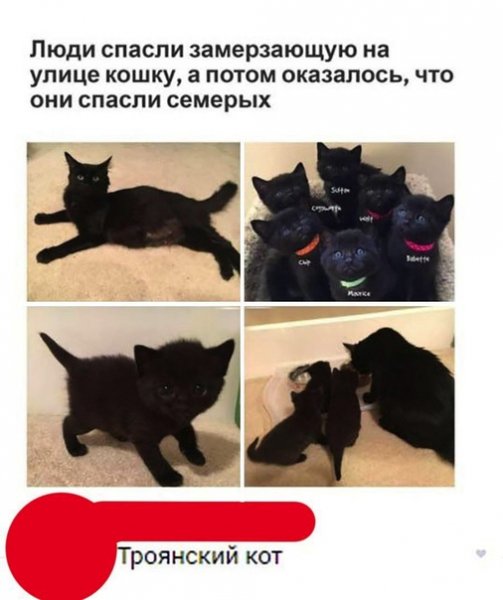 file_74346071