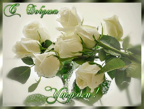 IMG 20200116 142111