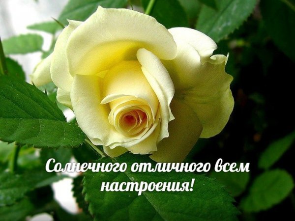 L rOdKV1RMU
