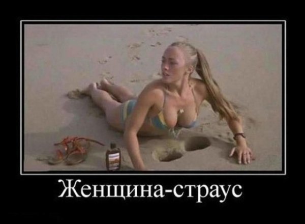 file_100031780
