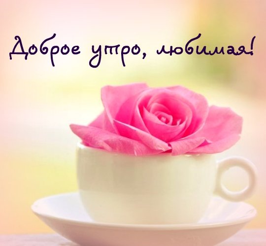 доброе утро 10