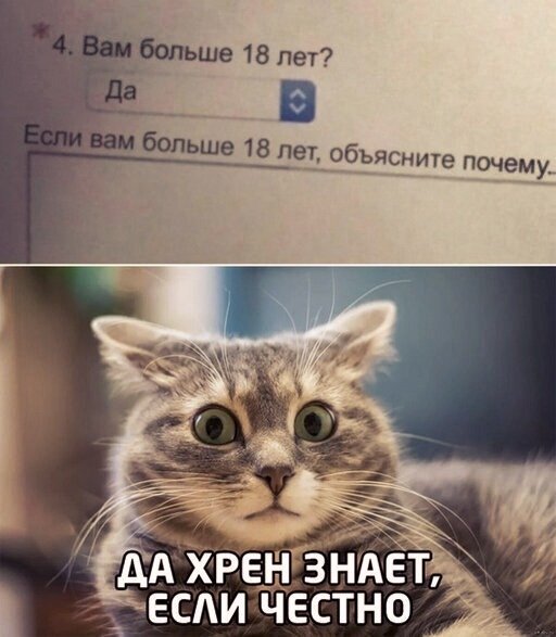 4Wz53OYDEFI