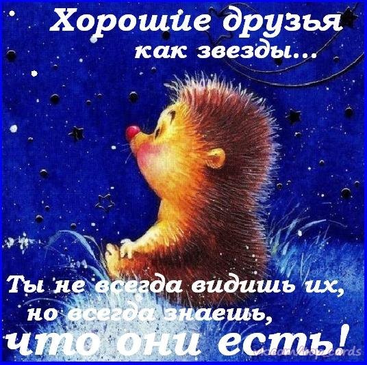 Мои звёзды