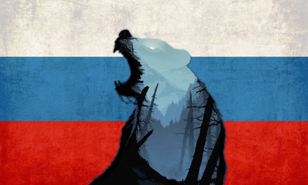 Медведь7