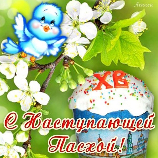 file_84185297