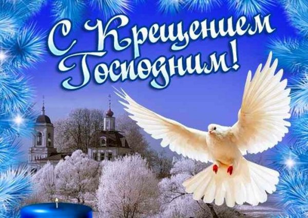 file_95606237