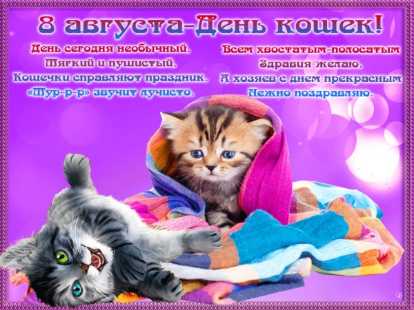 С Международным днём кошек.!