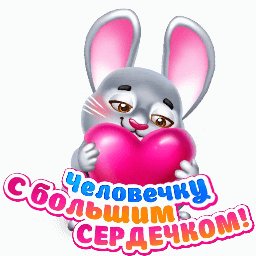 file_80520484