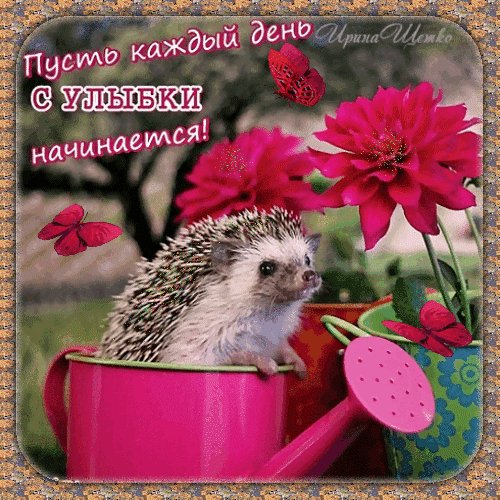 Анимированная открытка пусть каждый