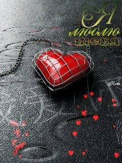 IMG 20140722 082431