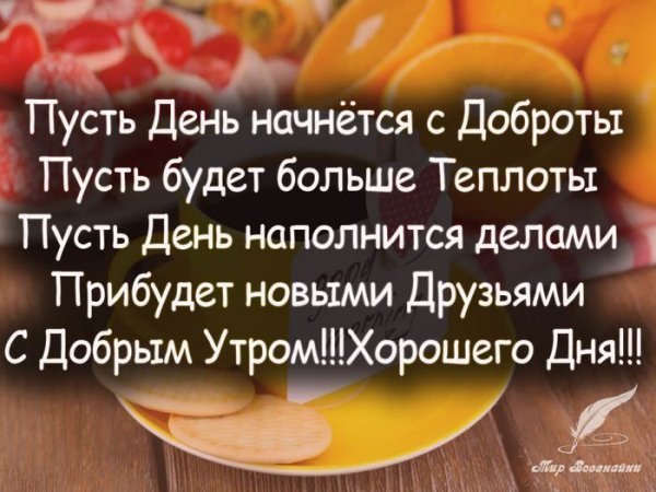 IMG 20181209 702421