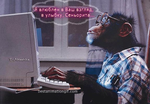 анимированная открытка я влюблён в ваш