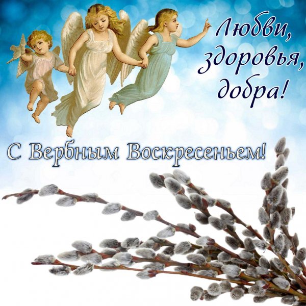 С вербным воскресеньем!