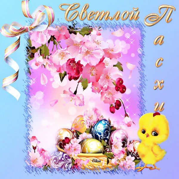 file_84184624