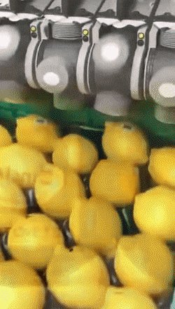 gifs 21