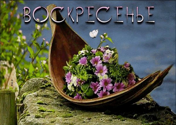 ВОСКРЕСЕНЬЕ