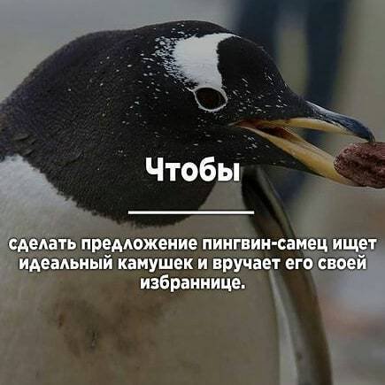 Типо колечко