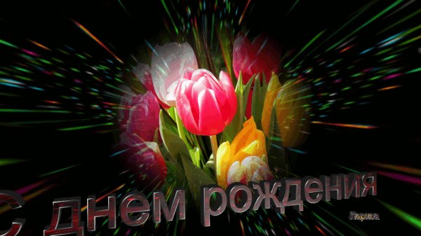 file_77206479