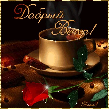 добрый вечер 084067