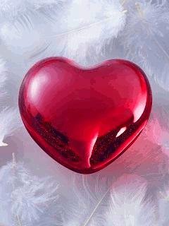 file_31209515