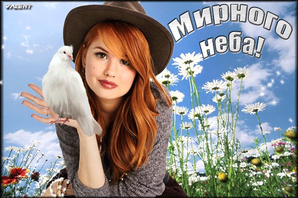 Анимированная открытка мирного неба