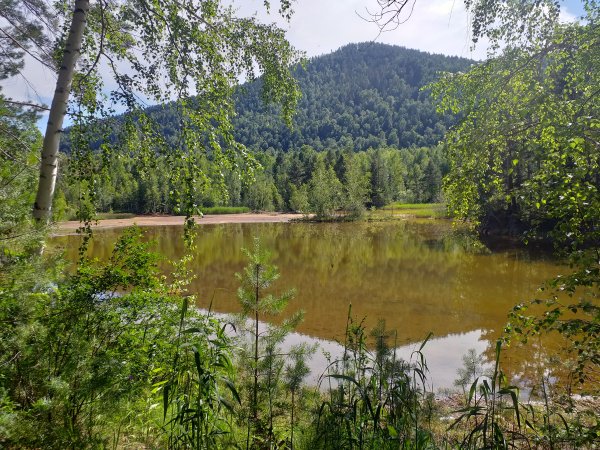 file_89785316