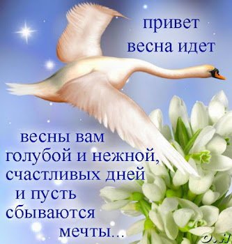 mw5lix6t6kg68