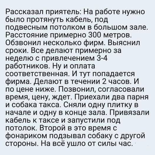 file_103164688
