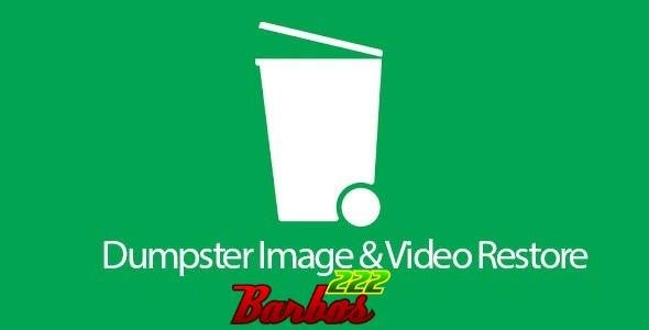 Dumpster Premium v2.0.222.391f6